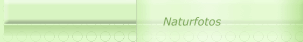 Naturfotos