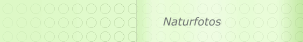 Naturfotos
